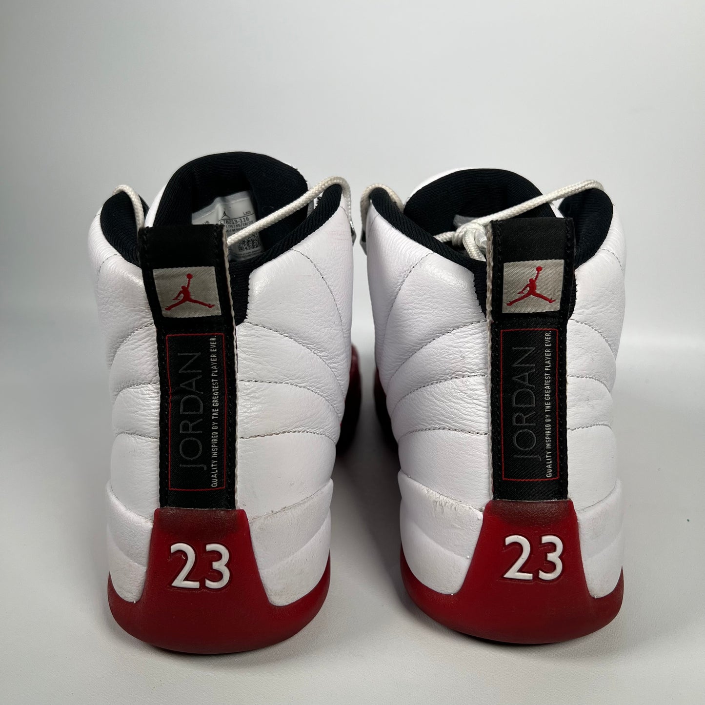 Jordan 12 Cherry (2023) Size 9.5 USED s17769