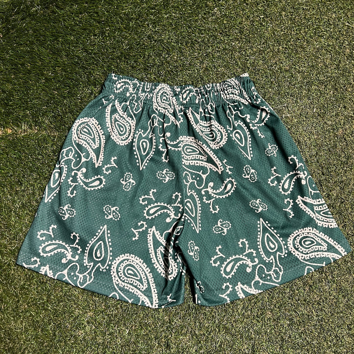 Eric Emanuel Black Logo Green Banadana Shorts Size Medium USED x14112