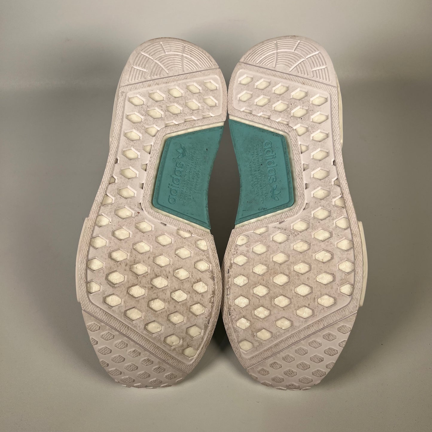 Adidas NMD CS1 Parlet Blue Spirit (2018) Size 11 USED s18073