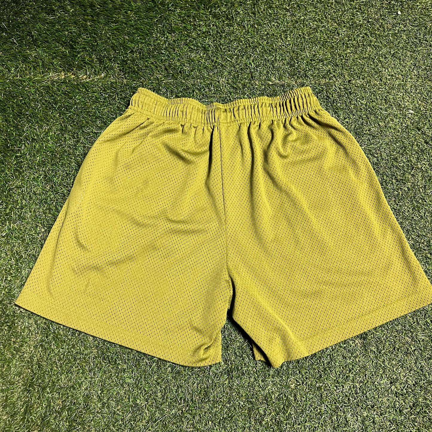 Eric Emanuel Grey Bolt Green Shorts Size Large USED x14168