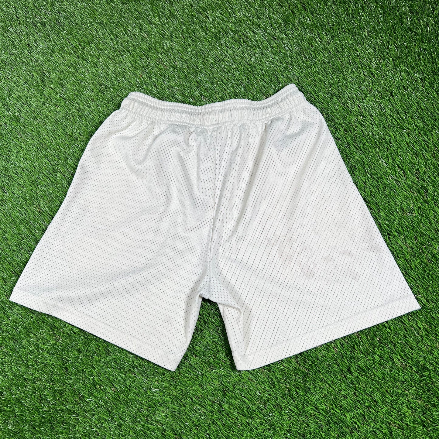 Eric Emanuel Red/Blue Logo Cream Shorts Size Small USED x14614