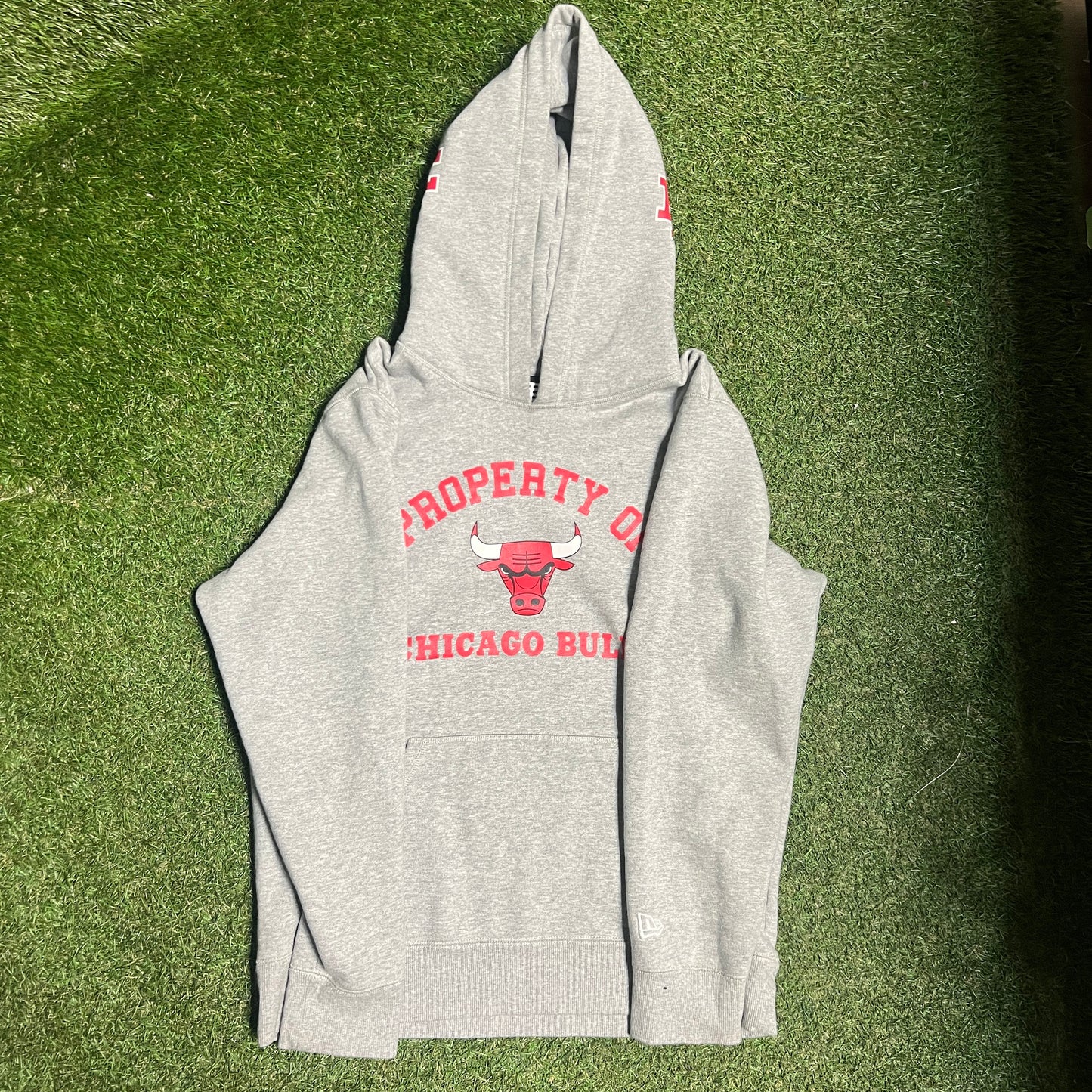 Eric Emanuel Chicago Bulls Pull Over Grey Hoodie Size Large USED x14045