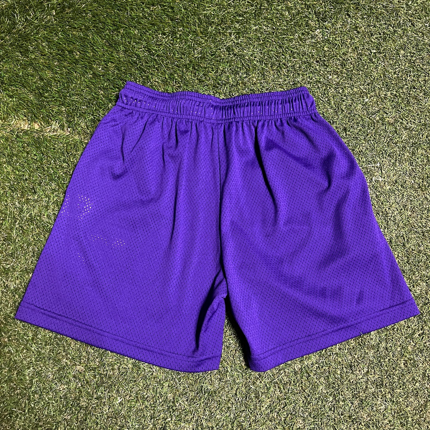 Eric Emanuel Purple Logo Purple Lightning Bolt Shorts Size Medium USED x14113