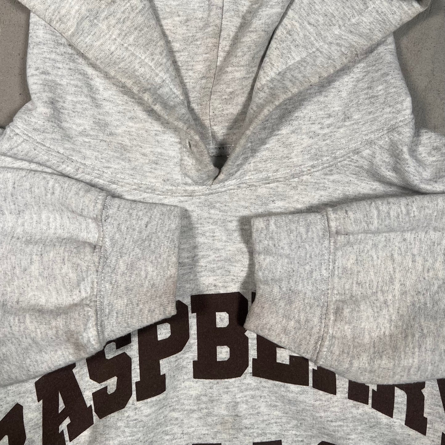 GV Gallery Raspberry Hills Gilden Grey Hoodie Size Medium USED x17494