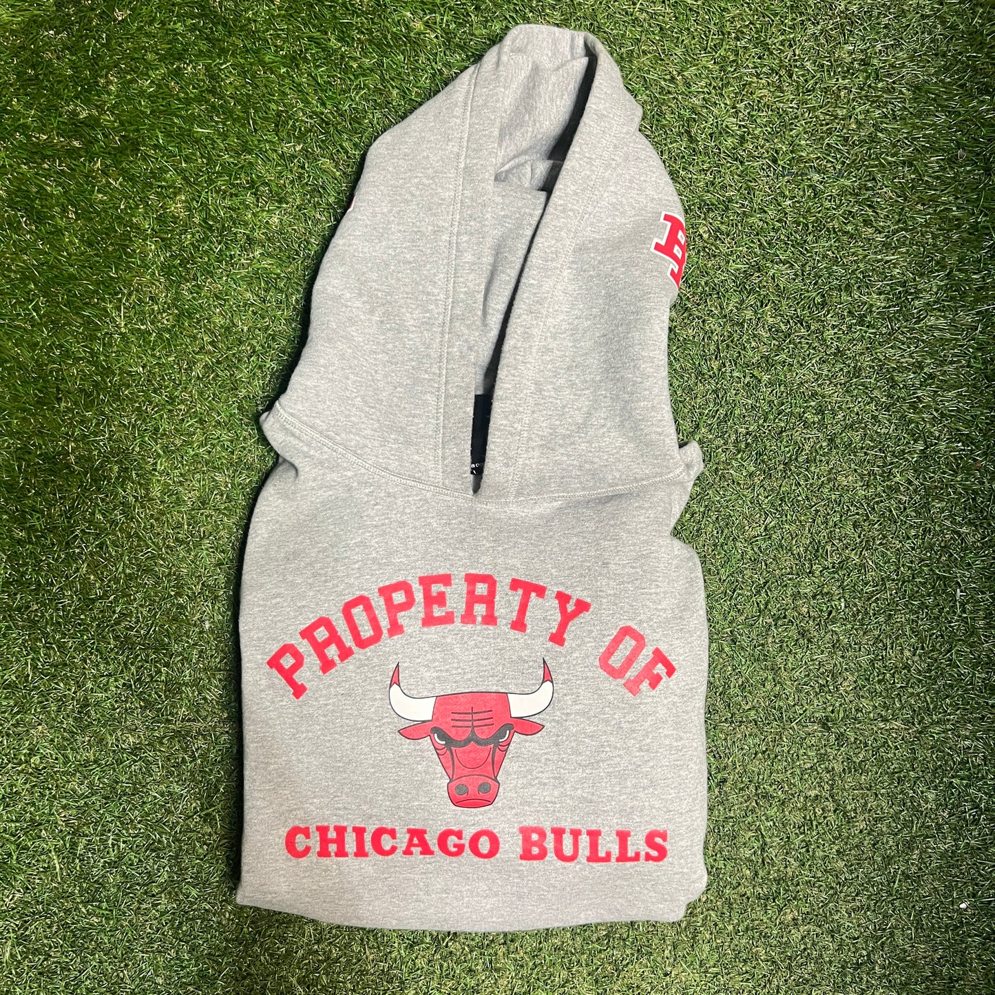 Eric Emanuel Chicago Bulls Pull Over Grey Hoodie Size Large USED x14045