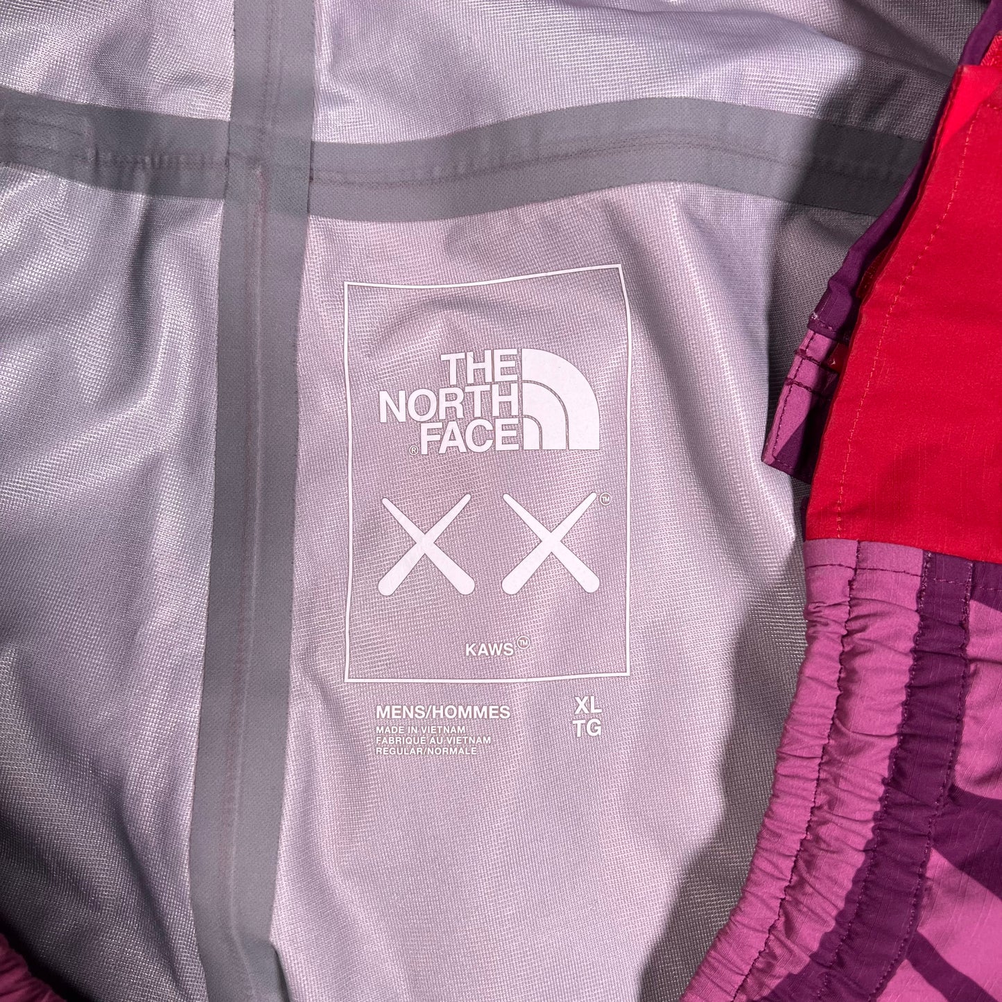 North Face Kaws Mountain Light Pamplona Purple Pants Size XL USED x15647