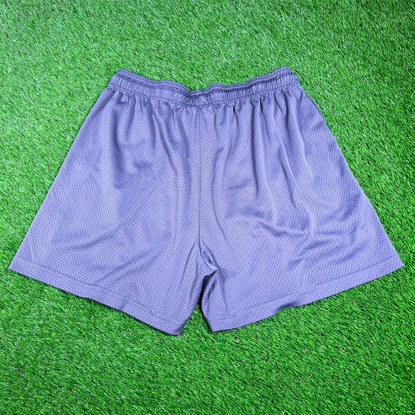 Eric Emanuel Pink Logo Purple Shorts Size XXL USED x14630