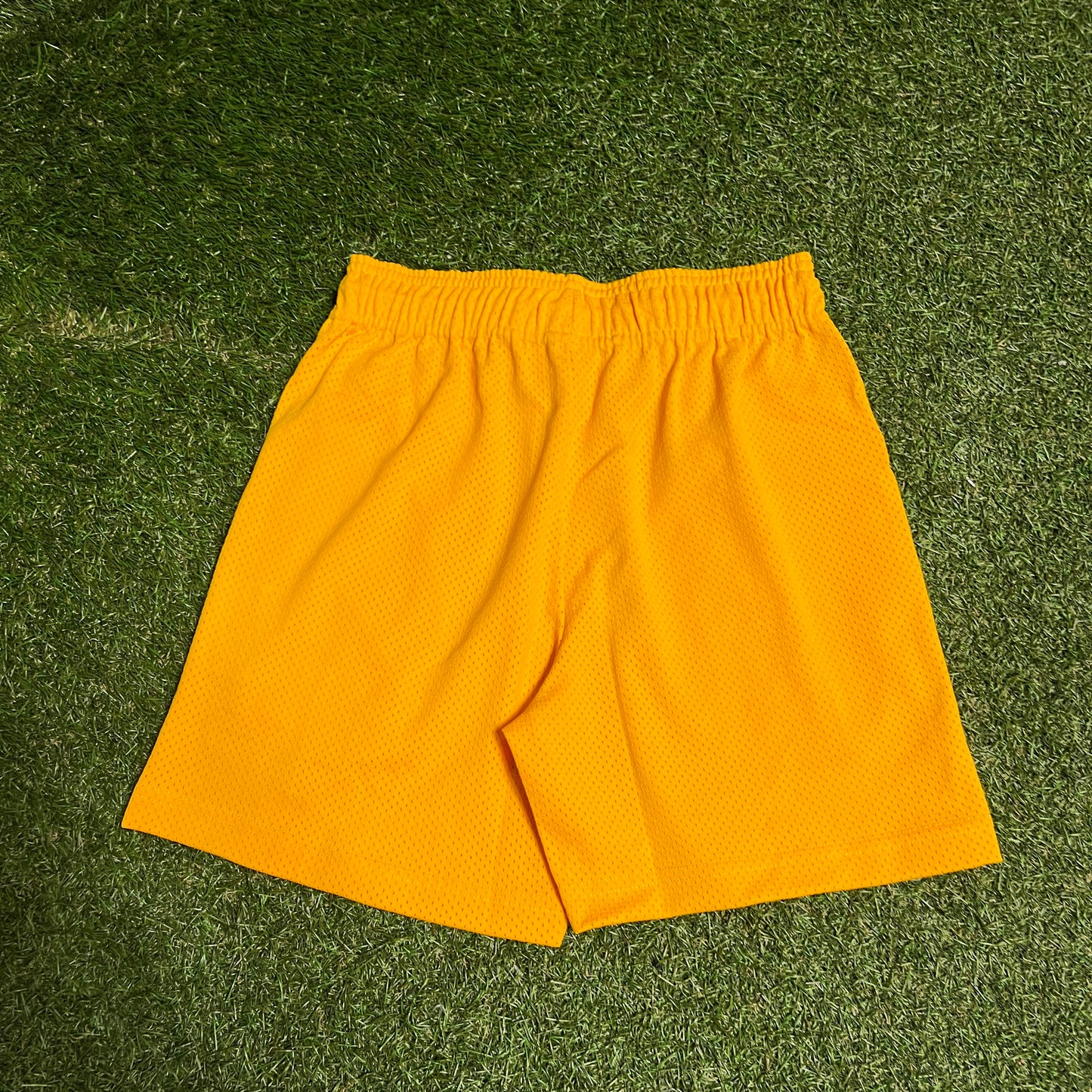 Eric Emanuel Purple Logo Yellow Shorts Size Small NEW x13447