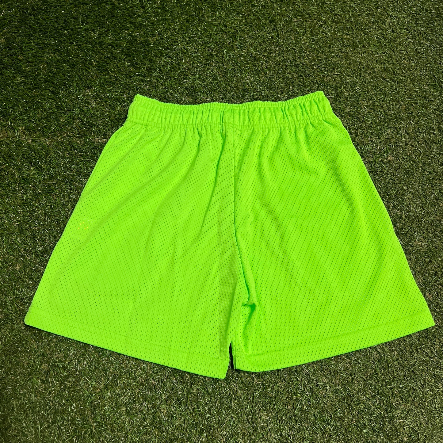 Eric Emanuel Purple Logo Green Shorts Size Small NEW x13455