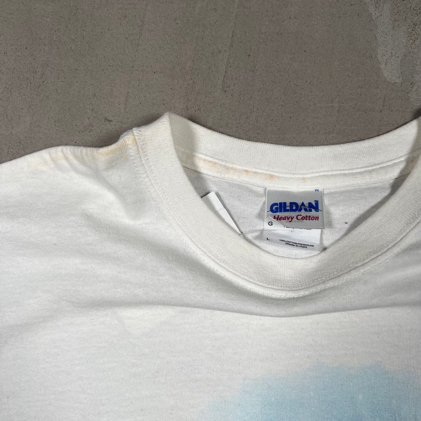 2000 Snow Birds Wildlife Land Trust White Tee Size Large USED v17122