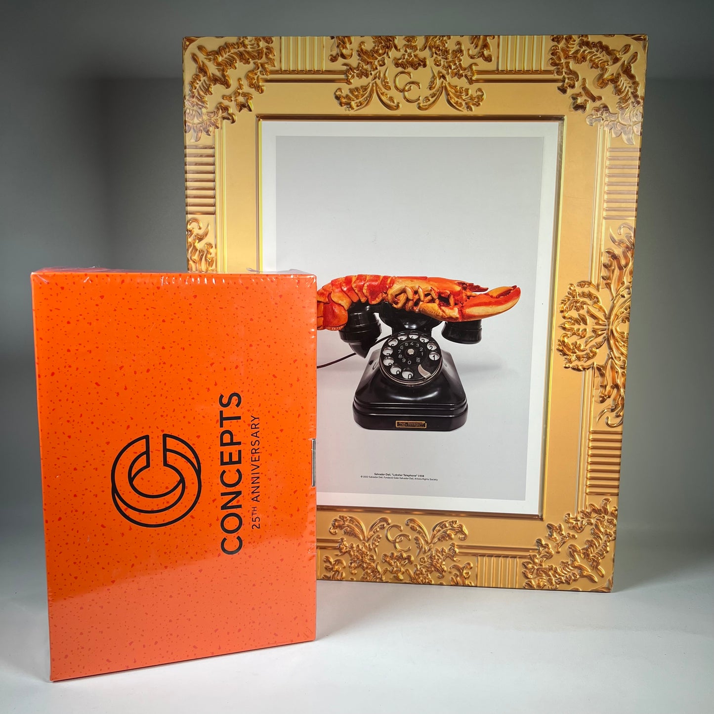 Nike SB Dunk Concepts Orange Lobster (Special Box) (2022) Size 4 NEW s20035