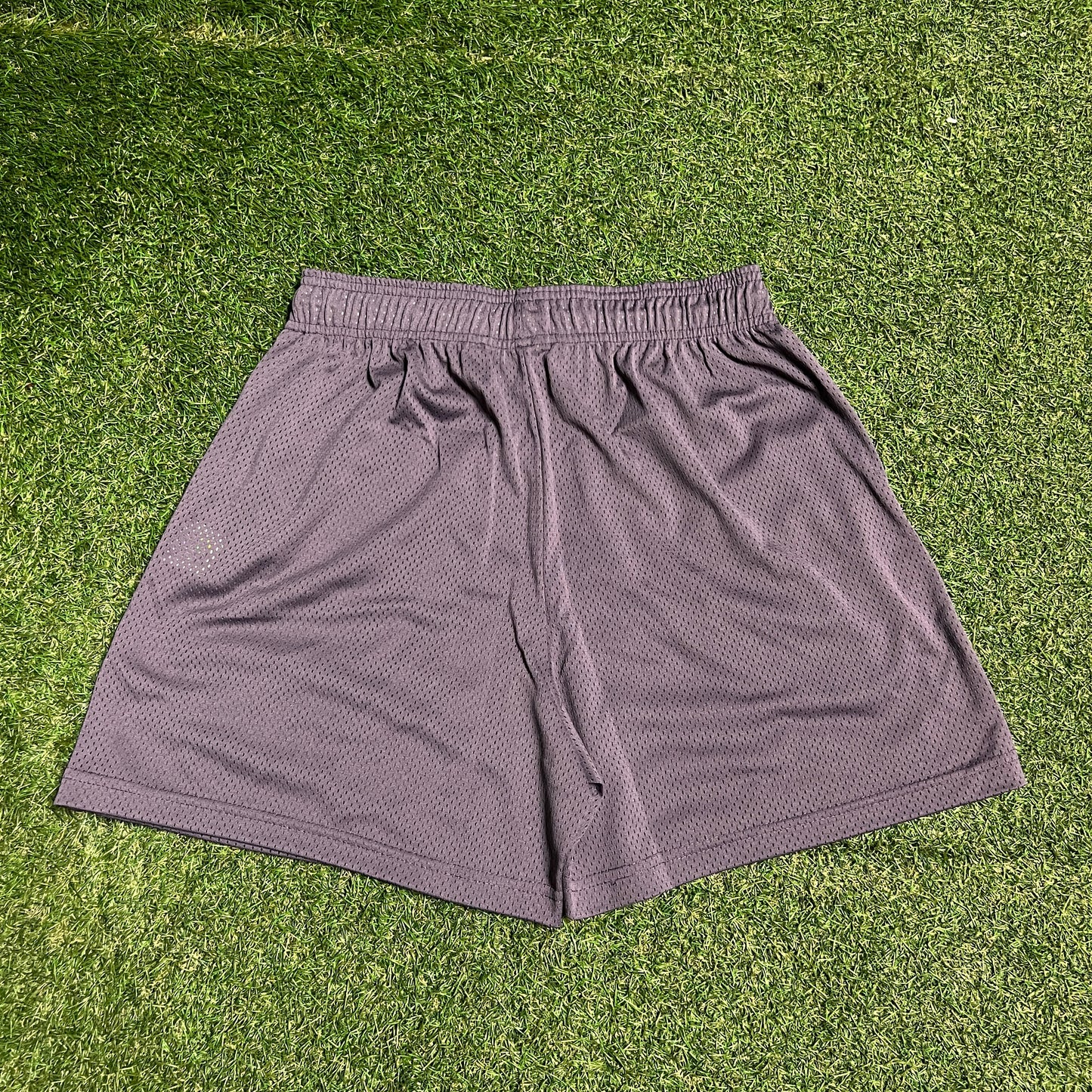 Eric Emanuel Pink Logo Purple Shorts Size XL NEW x13443