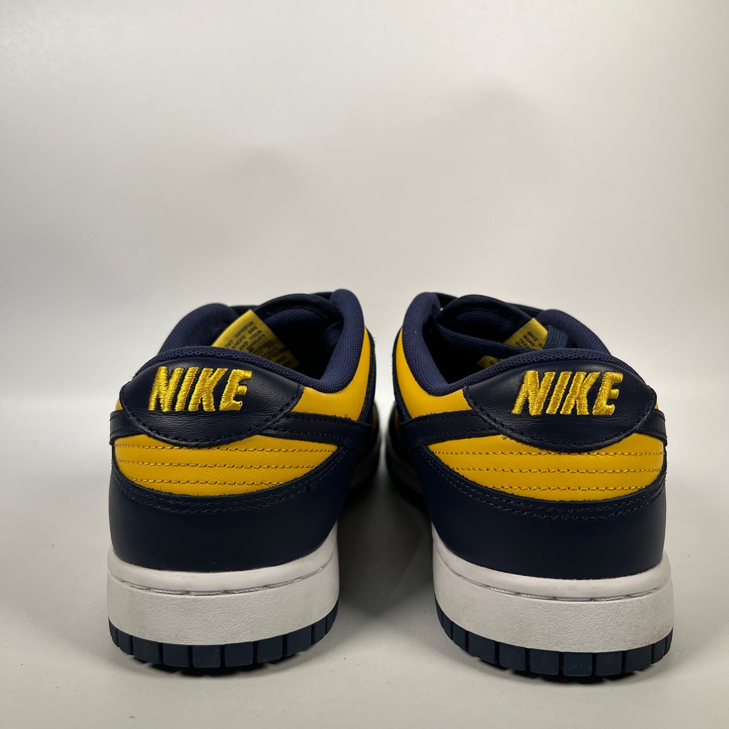 Nike Dunk Michigan (2021) Size 11 USED s18740