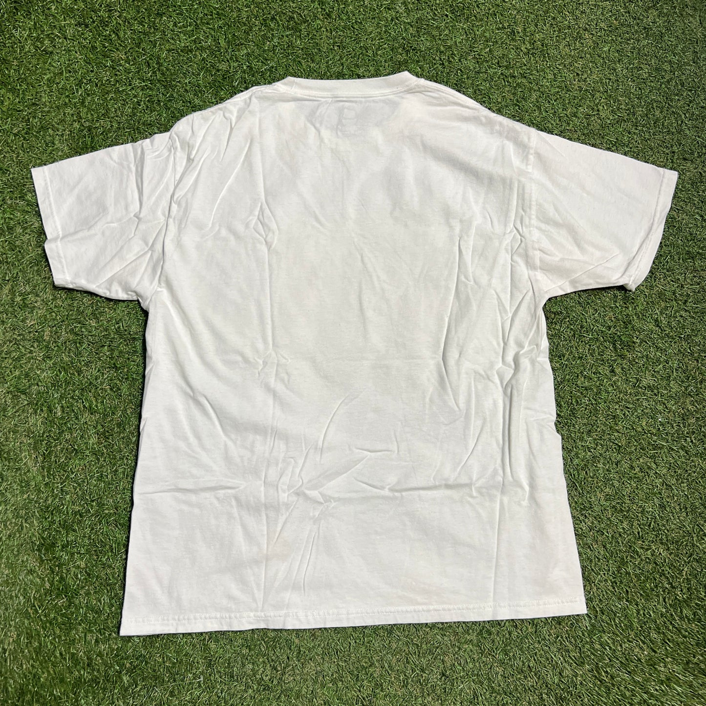 2010 Drake Passport White Tee Size Large USED v5038