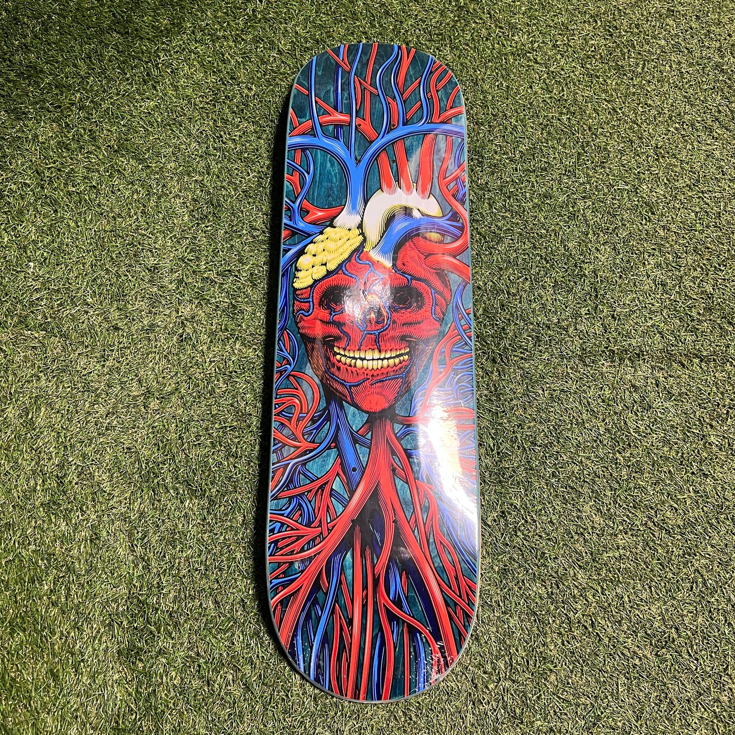 StrangeLove Heart Skull Blue Skateboard NEW x12486