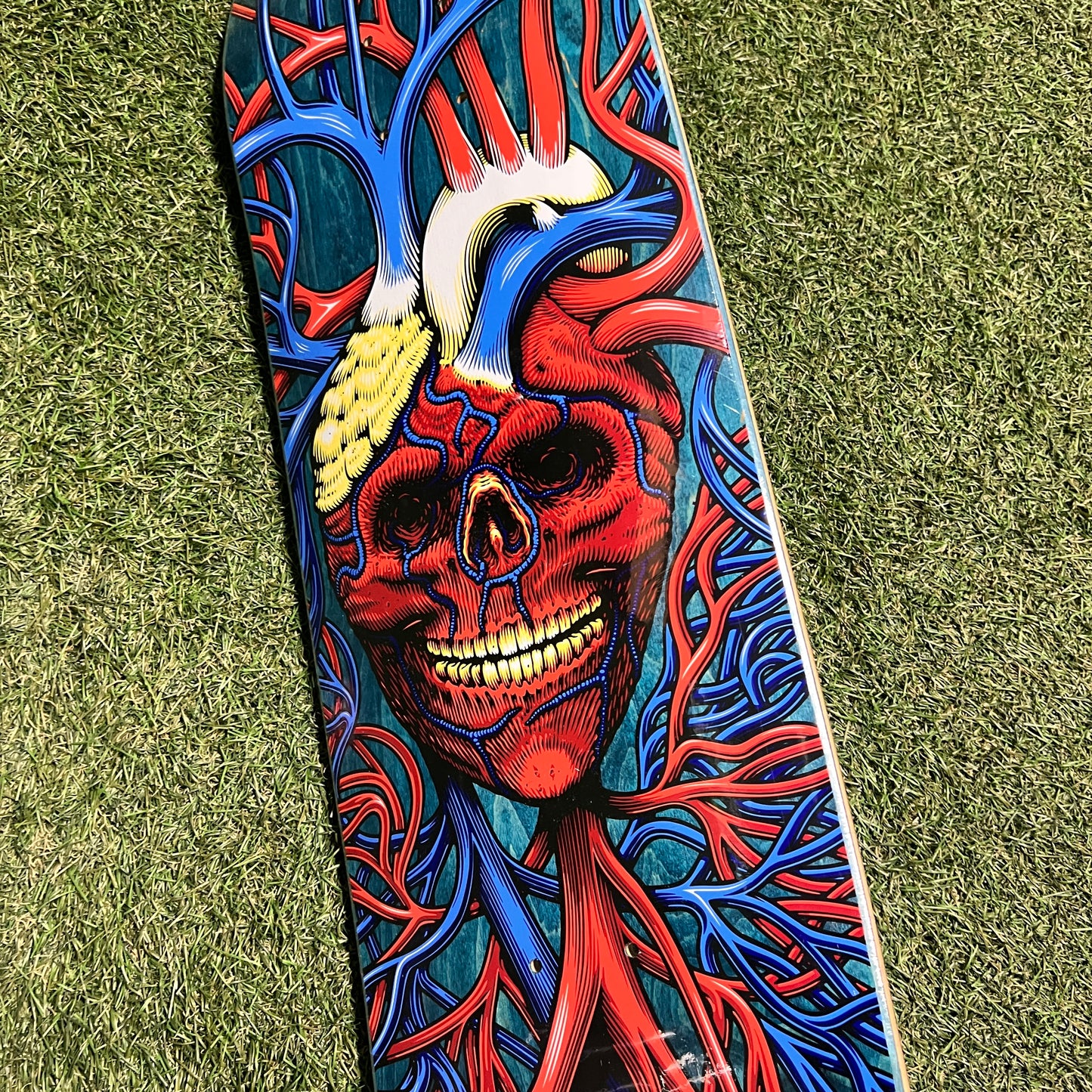 StrangeLove Heart Skull Blue Skateboard NEW x12486
