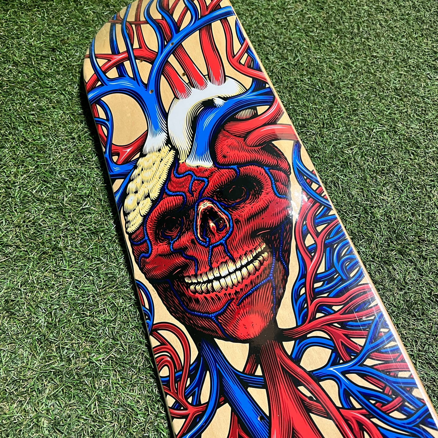 StrangeLove Heart Skull Blue Skateboard NEW x12485
