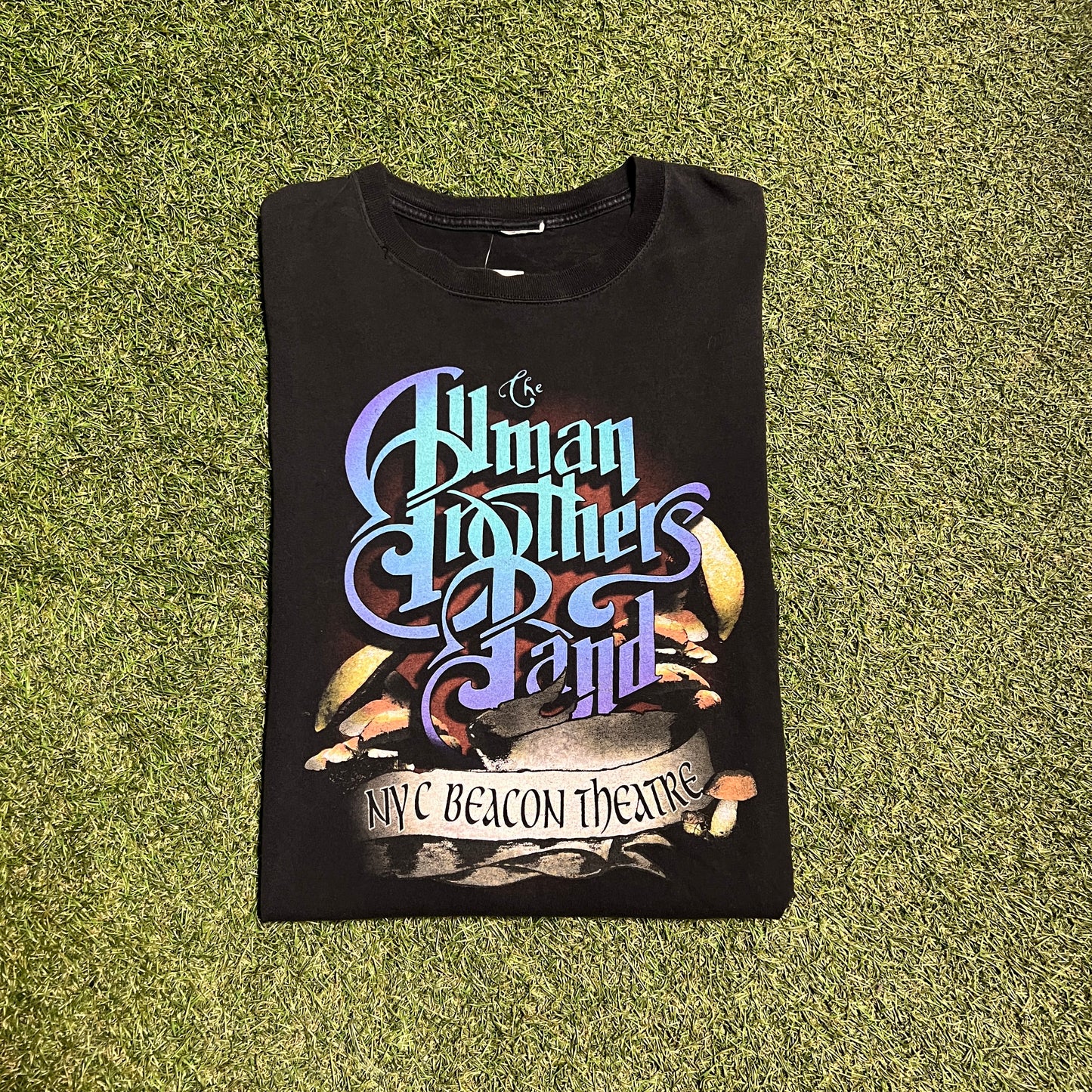 2006 The alman brothers band tee black Size Large USED NO TAG v13183