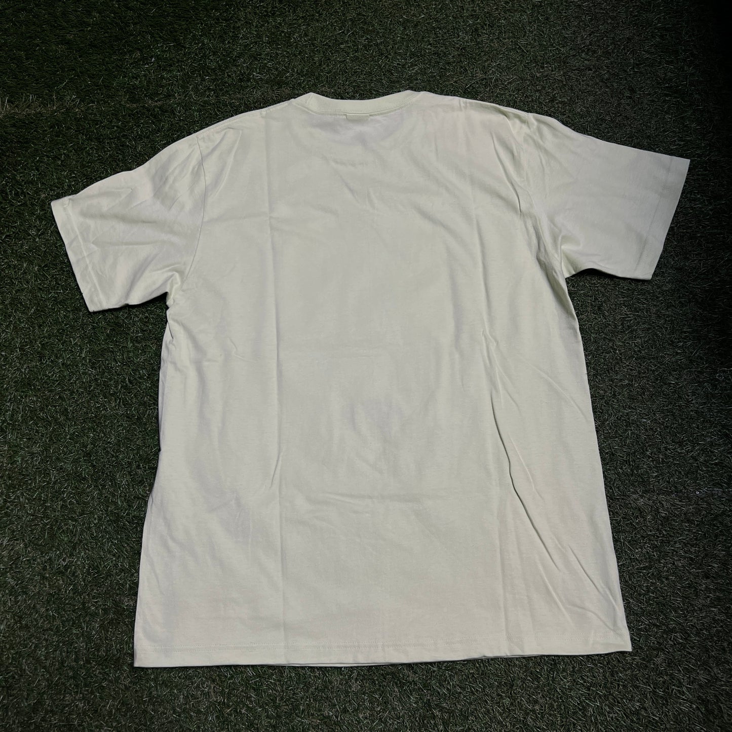 Supreme Tyler the Creator Pale Mint Photo Tee Size Large NEW x11299