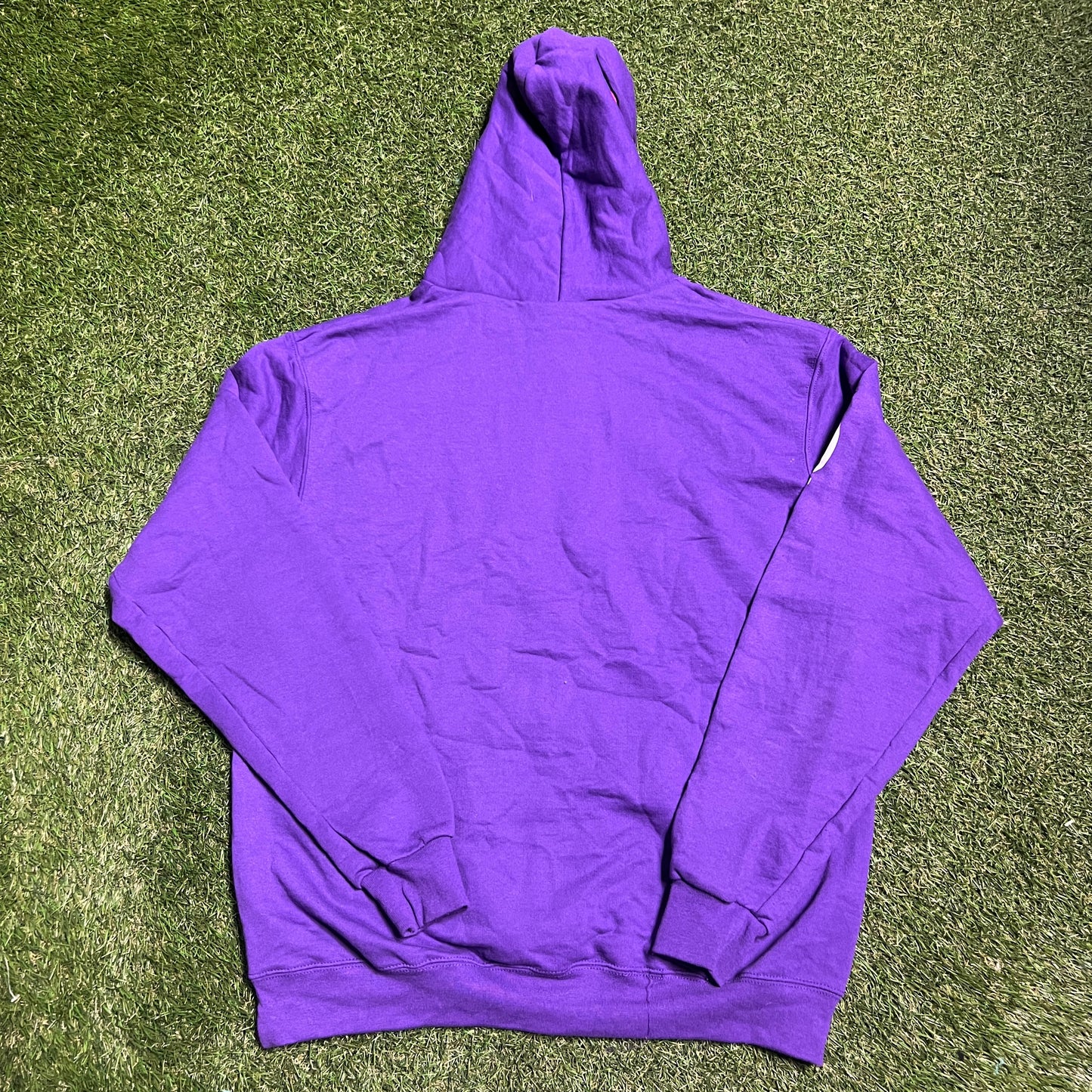 Faze champion hoodie purple (stained) Size Large USED x11450