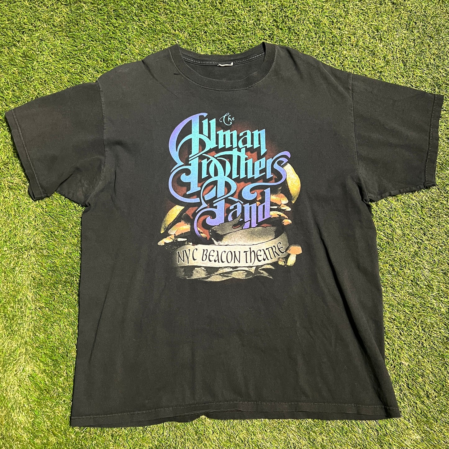 2006 The alman brothers band tee black Size Large USED NO TAG v13183