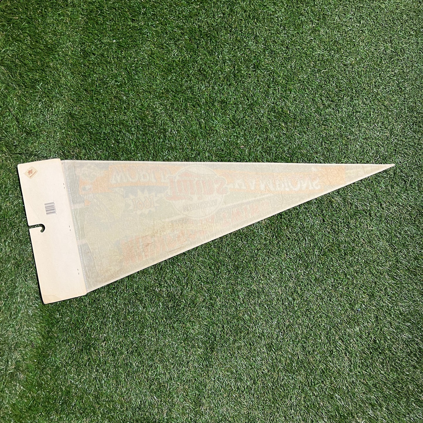 1991 World Series Minnesota Twins World Champs Blue Pennant OS NEW v13433