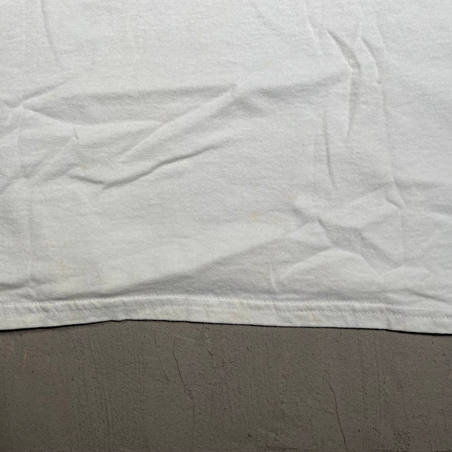 2000 Snow Birds Wildlife Land Trust White Tee Size Large USED v17122