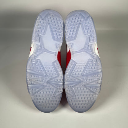 Jordan 6 Slam Dunk (2014) Size 10 NEW s19683