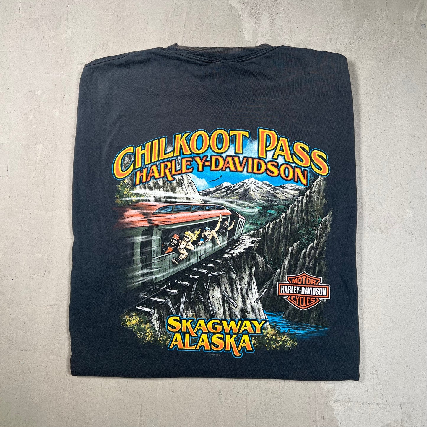 2010 Harley Davidson Chilkoot Pass Black Tee Size XL USED v18981