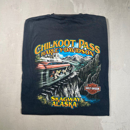 2010 Harley Davidson Chilkoot Pass Black Tee Size XL USED v18981
