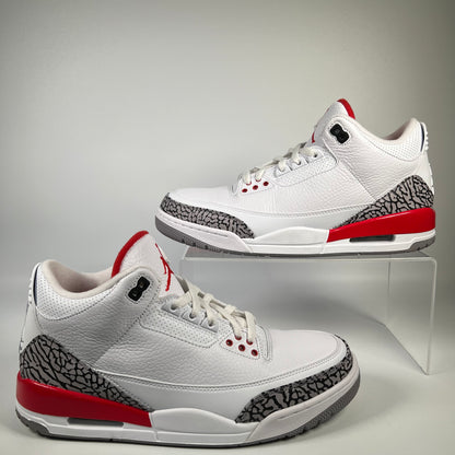 Jordan 3 Hall of Fame (2018) Size 10.5 USED s19146