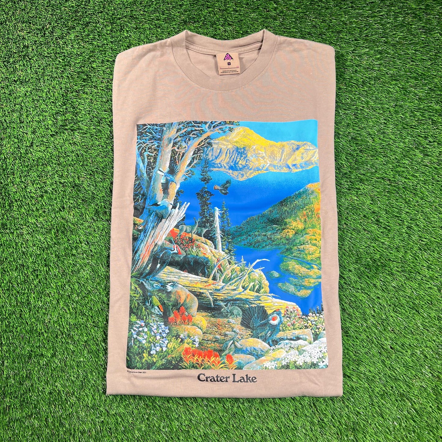 Nike ACG Brown Crater Lake Vibrant Nature Print Tee Size Small USED x16483