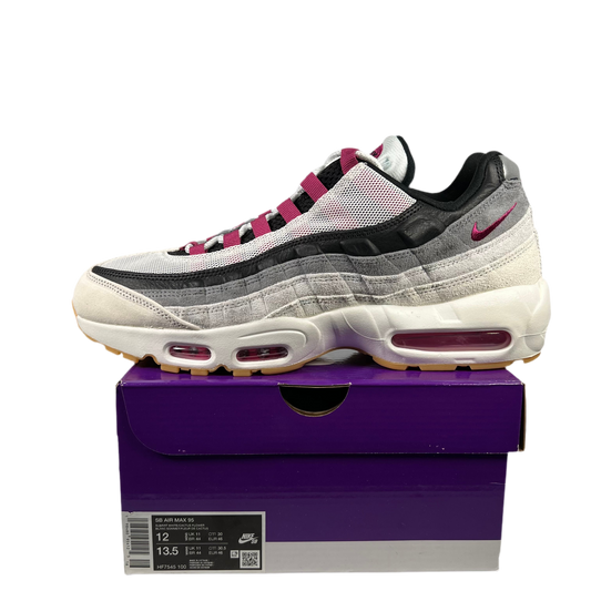 Nike Air Max 95 SB Cactus Flower (2025) Size 12 NEW s18830