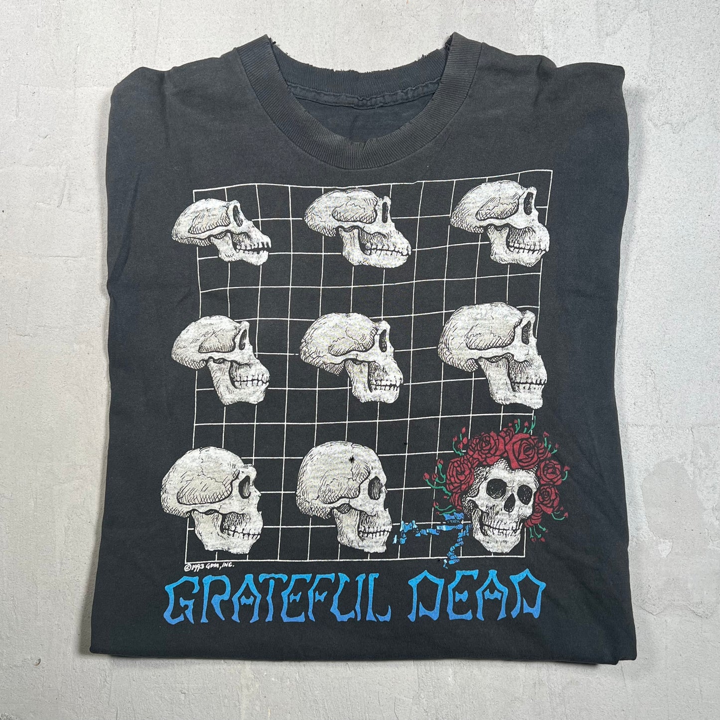 1993 Grateful Dead Evolution of Deadhead Black Tee Size XL USED v5373