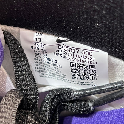 Nike SB Dunk Low Court Purple (2024) Size 12 NEW s18826