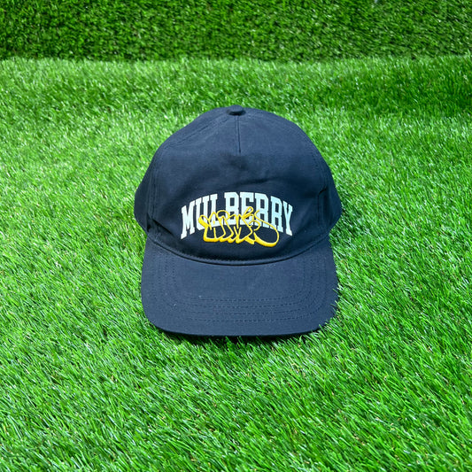 Aime Leon Dore ALD Mulberry Navy Snapback USED x16849