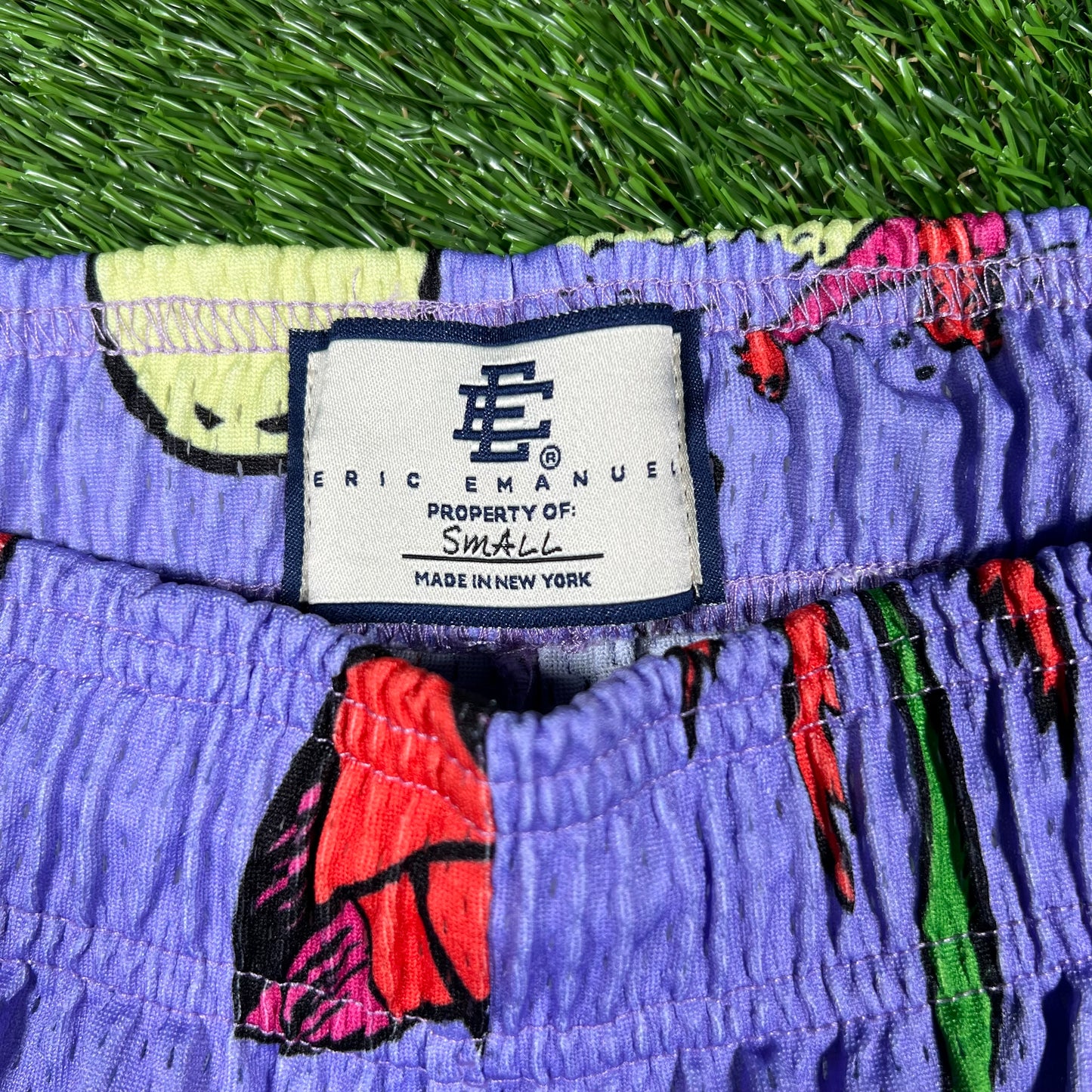 Eric Emanuel Surf Purple Shorts Size Small USED x14787
