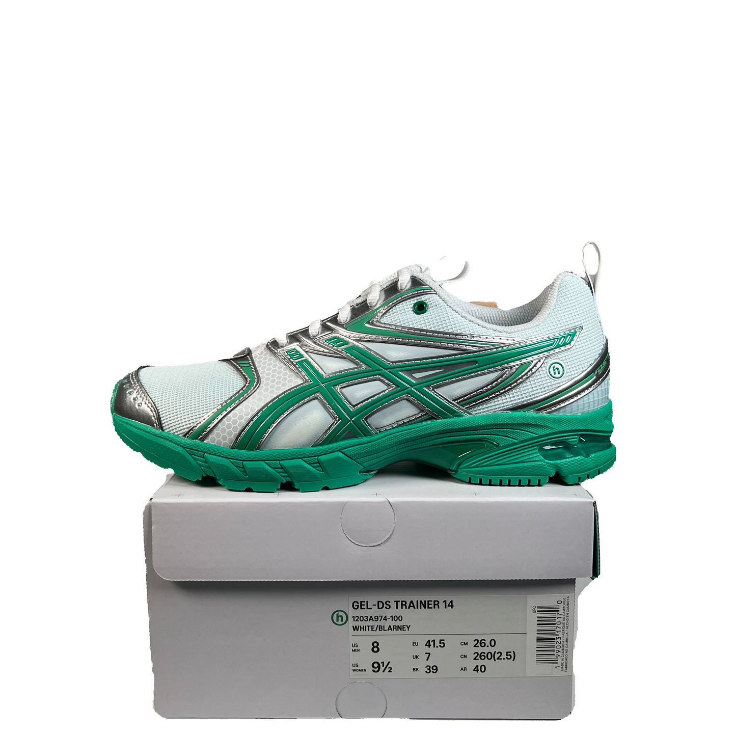 Asics Gel-DS Trainer 14 Hidden NY Dawn (2025) Size 8 NEW s22319