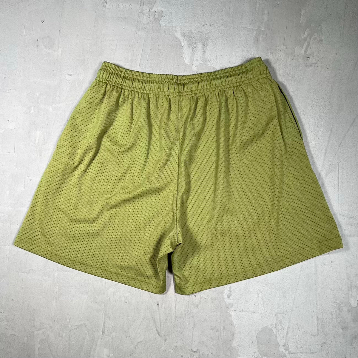 Eric Emanuel Olive/Blue Logo Mesh Shorts Size XL USED x18404