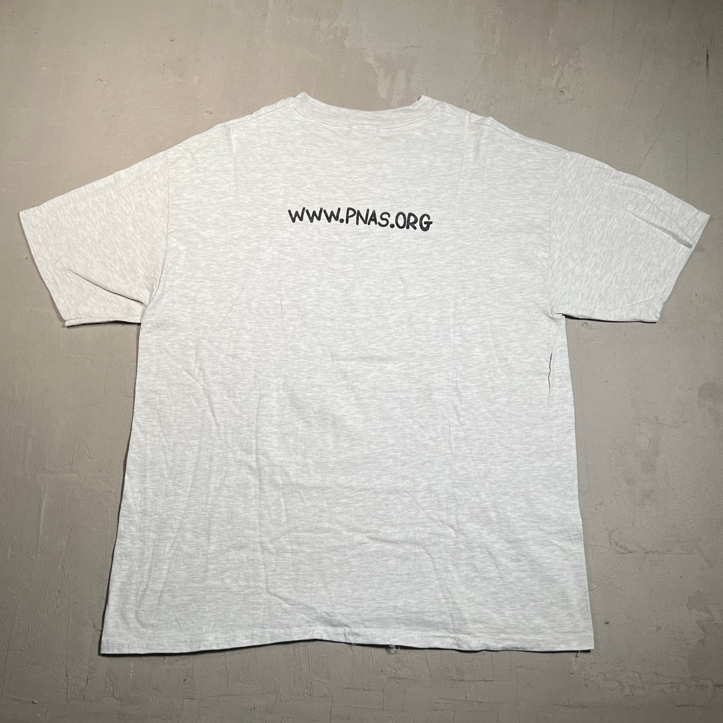 1990s Albert Einstein Pnas Grey Tee Size XL USED v19557