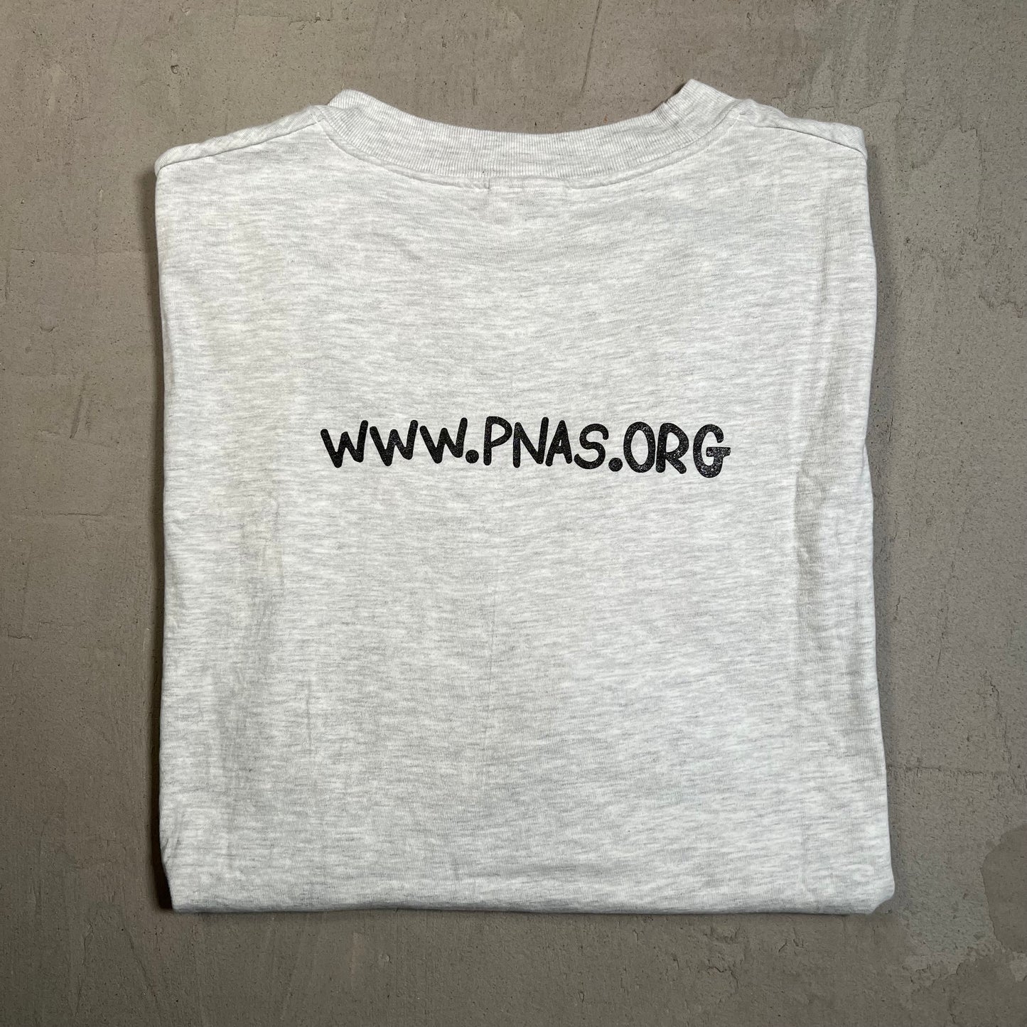 1990s Albert Einstein Pnas Grey Tee Size XL USED v19557
