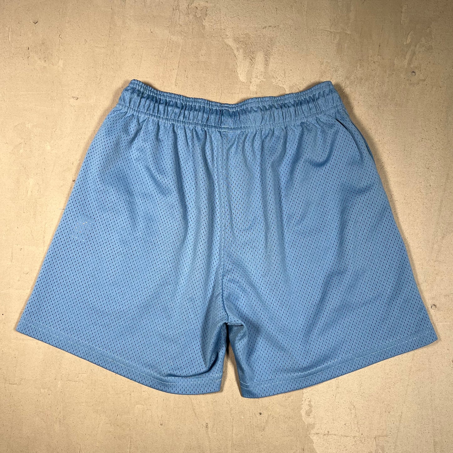 Eric Emanuel Blue Short/Navy Logo Basic Mesh Shorts Size Medium USED x17553