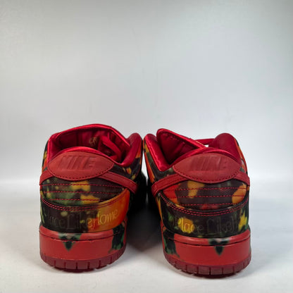 Nike SB Dunk Low Wizard of Oz Poppy Field (2024) Size 10.5 USED s23568