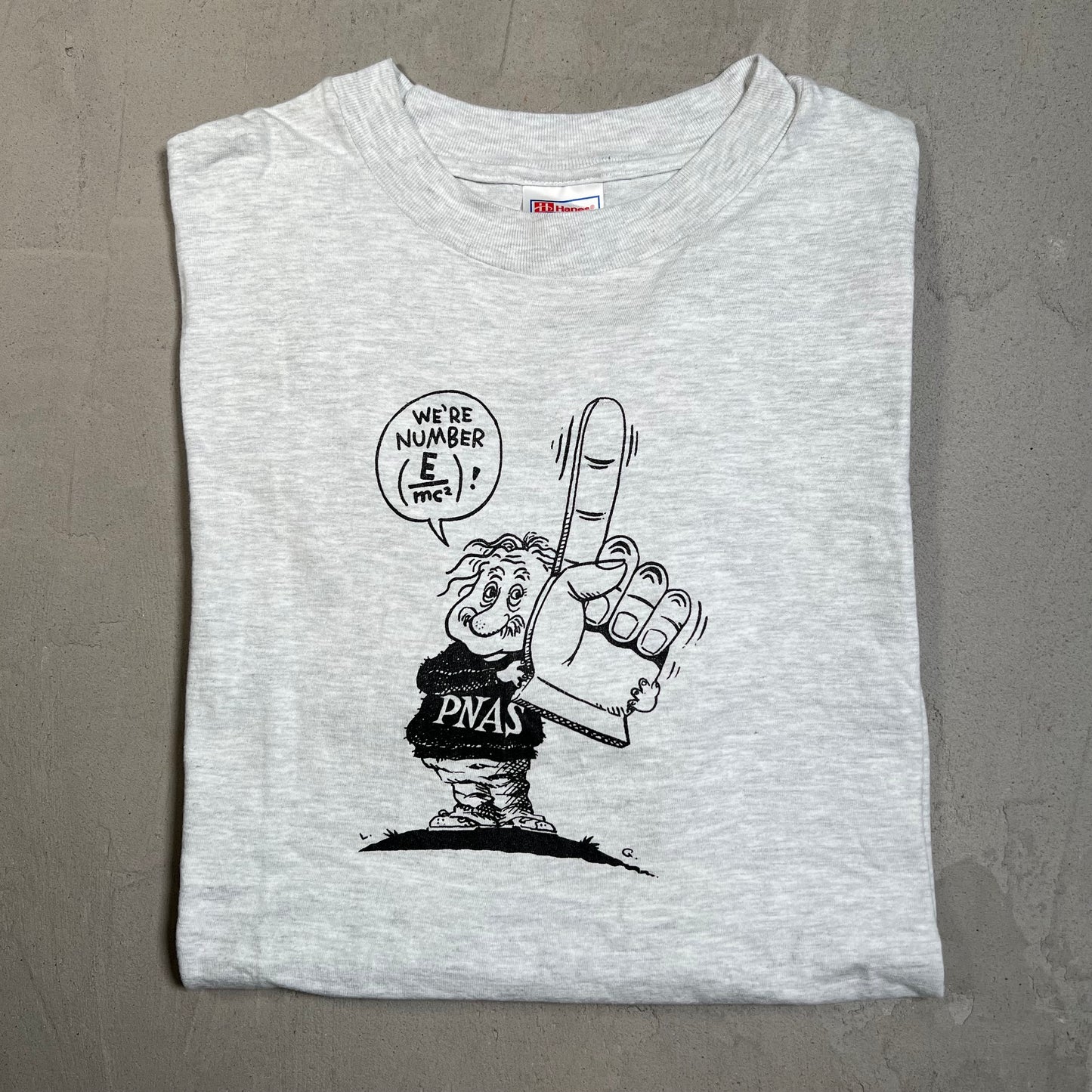 1990s Albert Einstein Pnas Grey Tee Size XL USED v19557