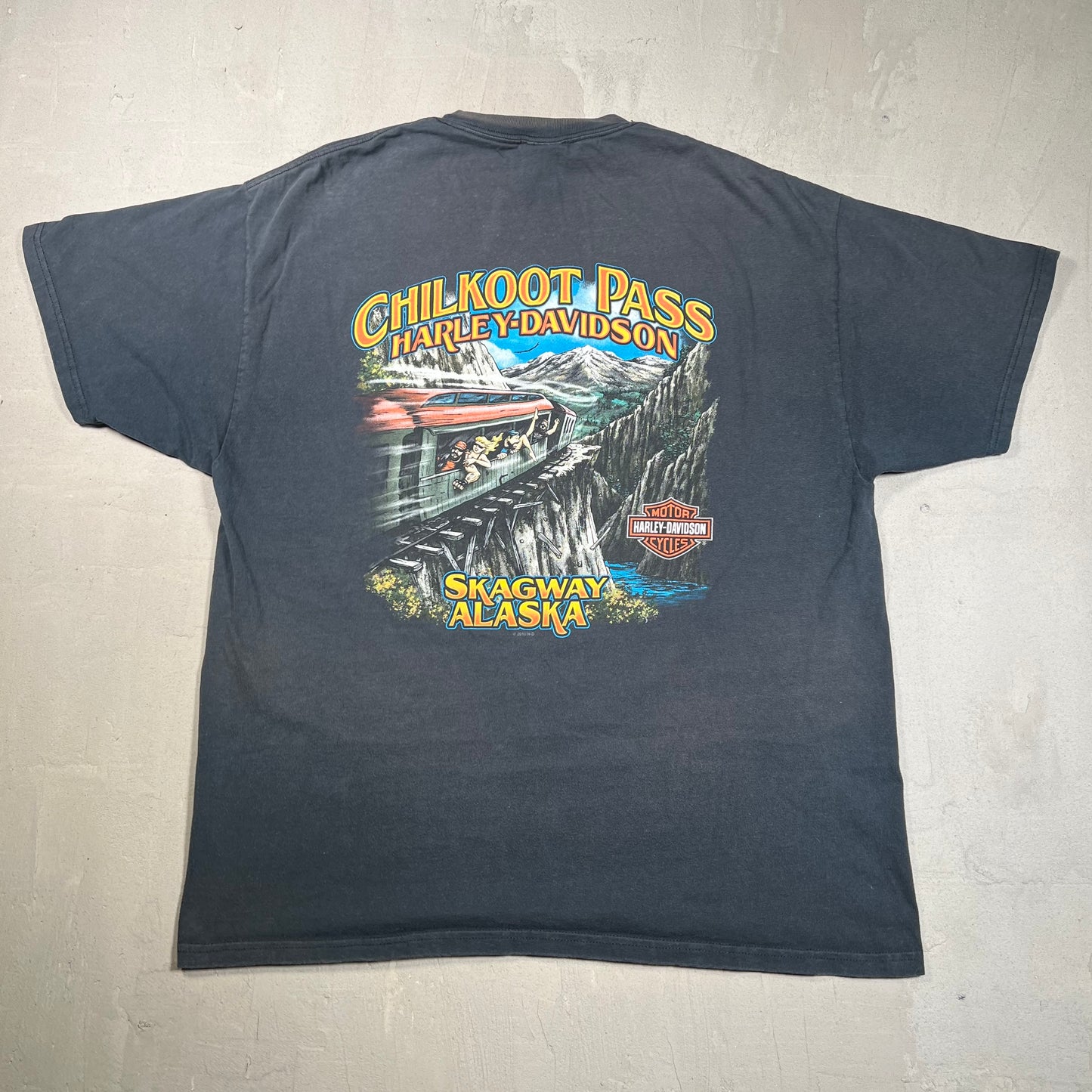 2010 Harley Davidson Chilkoot Pass Black Tee Size XL USED v18981