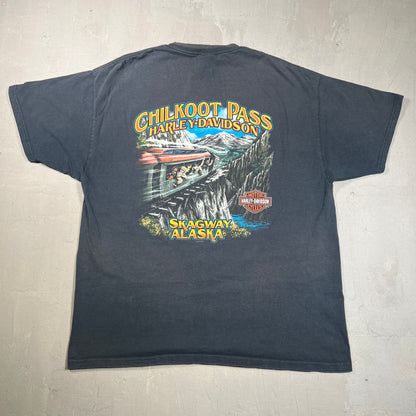 2010 Harley Davidson Chilkoot Pass Black Tee Size XL USED v18981
