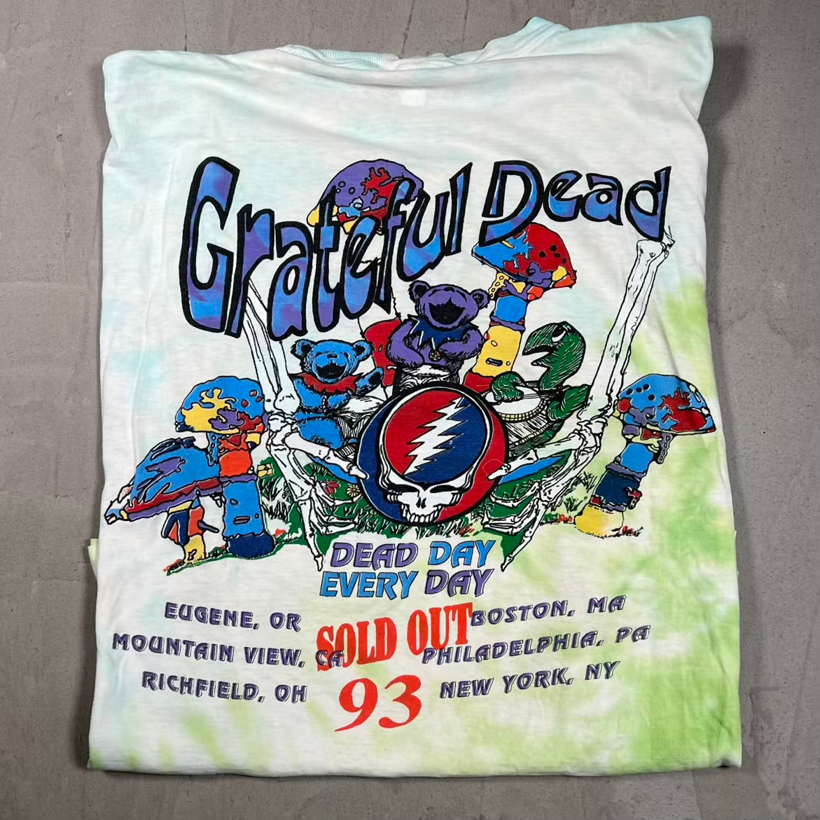 1993 Grateful Dead Summer Tour Everyday Day Tie Dye Tee Size XL USED v20160