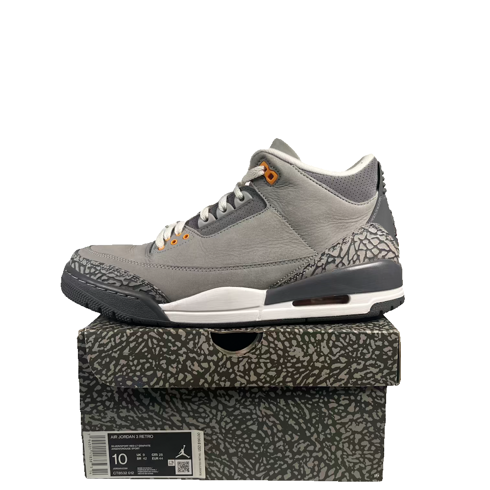Jordan 3 Cool Grey (2021) Size 10 USED s23760