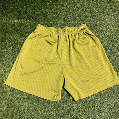 Eric Emanuel Grey Bolt Green Shorts Size Large USED x14168