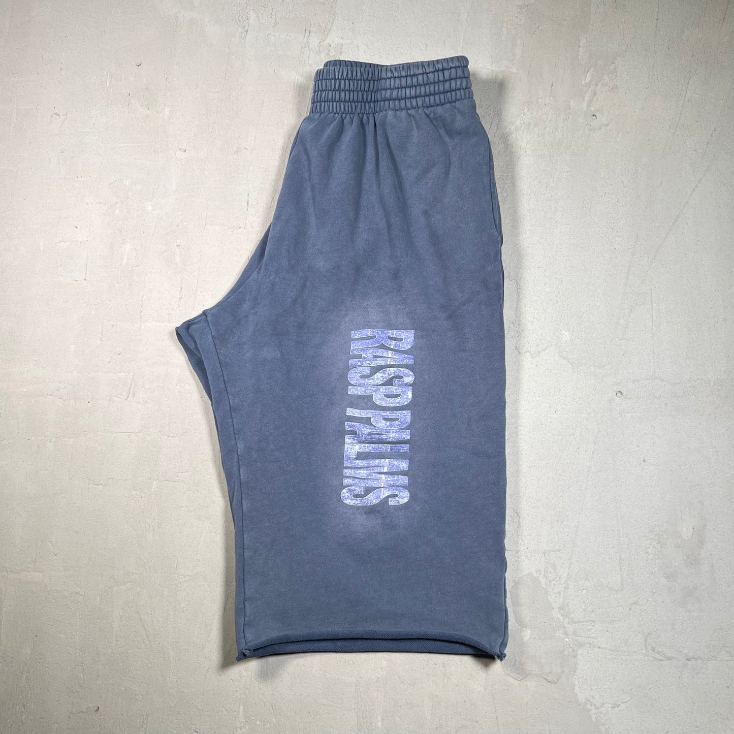 GV Gallery Raspberry Hills Palms Washed Blue Baggie Shorts Size Small USED x17535